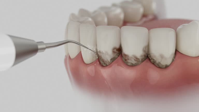 Reliable Dental contractor in Lebanon, KY by Dentist Open Now